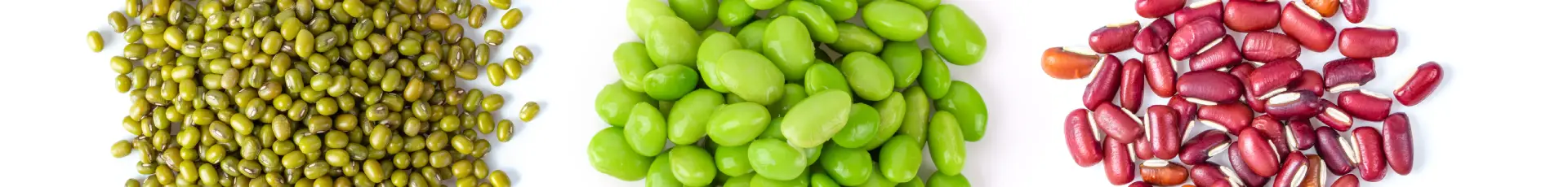 Erbicide Soia, Mazăre, Fasole